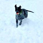 Photo submitted to the Valley Record by Cindi Davis