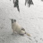 Photo submitted to the Valley Record by Mary Ellen Alspaugh Lingo