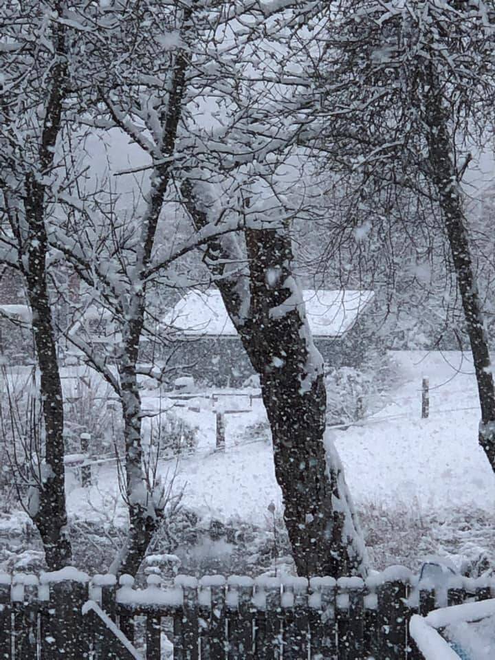 Photo submitted to the Valley Record by Mary Ellen Alspaugh Lingo