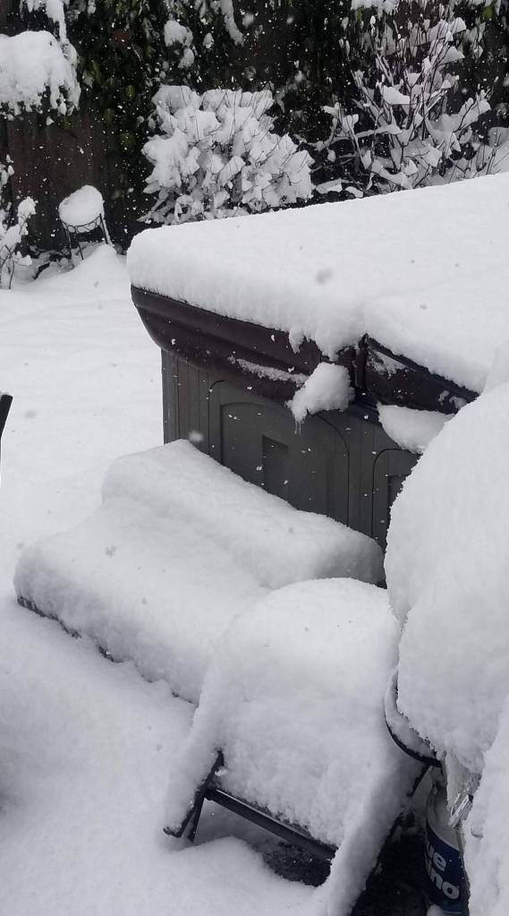 Photo submitted to the Valley Record by Jennifer VanderPol Tracz