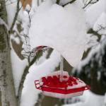 Photo submitted to the Valley Record by Carie Johannes