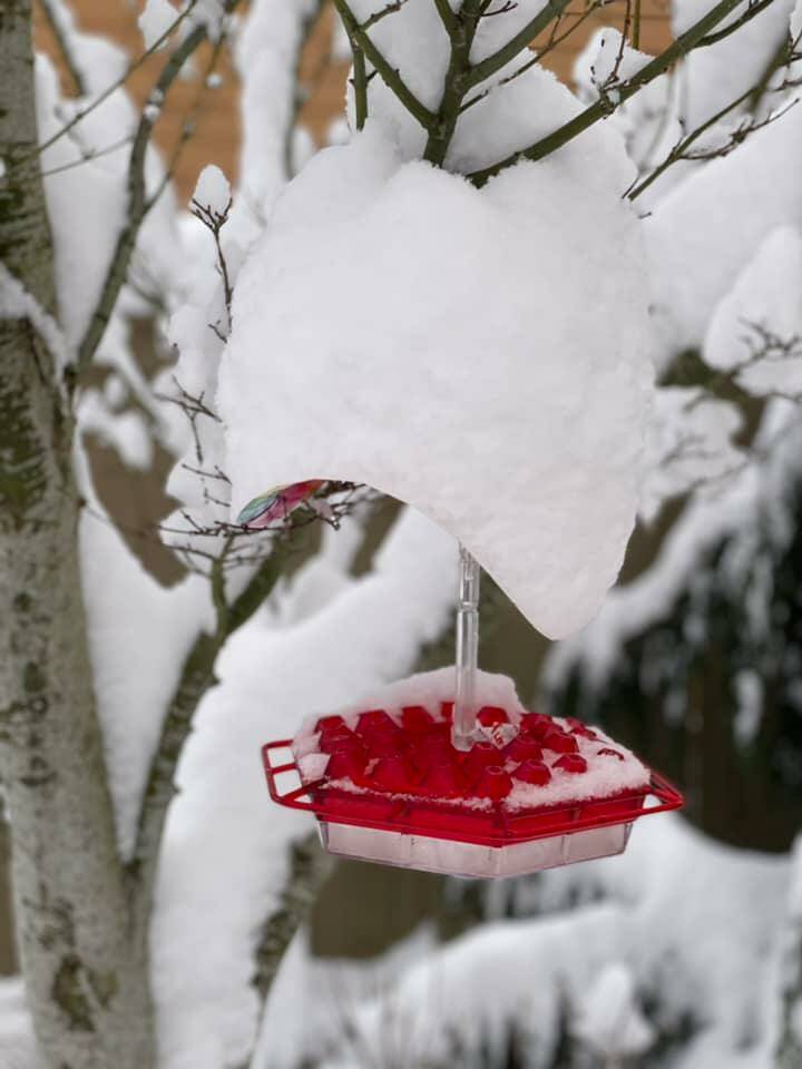 Photo submitted to the Valley Record by Carie Johannes