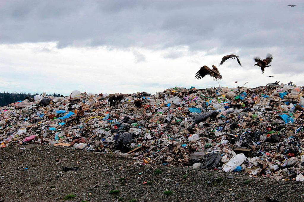 File photo
Cedar Hills Regional Landfill.
