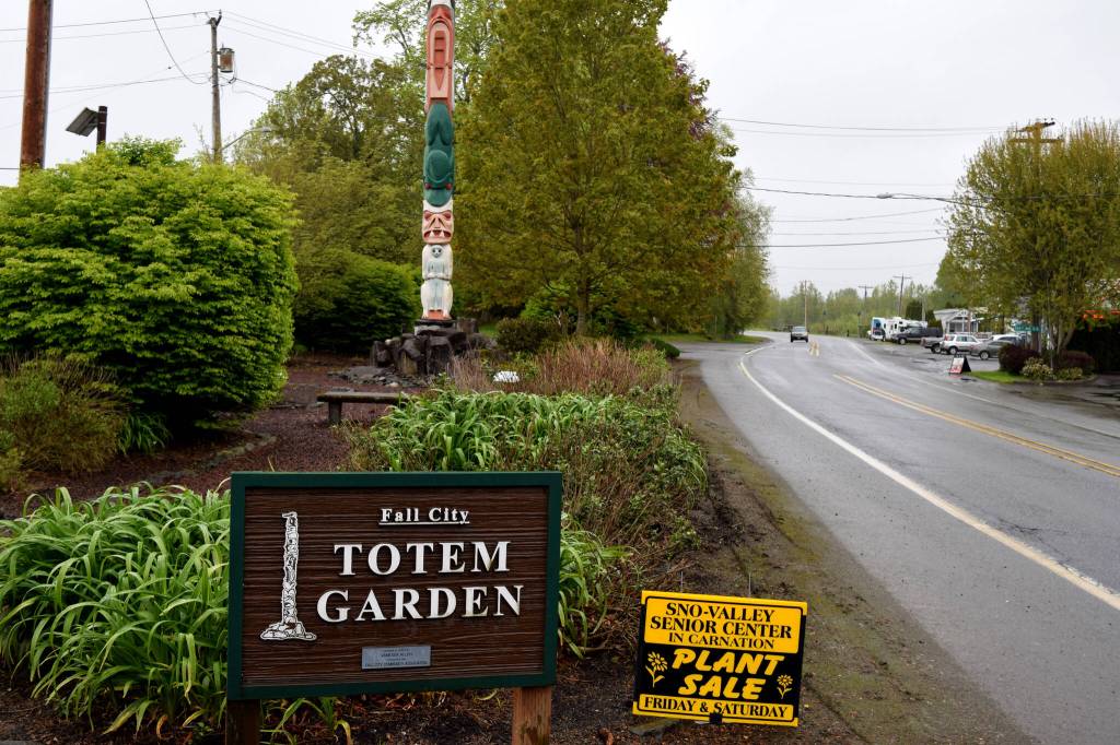 File photo by Conor Wilson / Valley Record 
The Fall City Totem Pole sits in the Totem Garden, property owned by the Fall City Community Association.