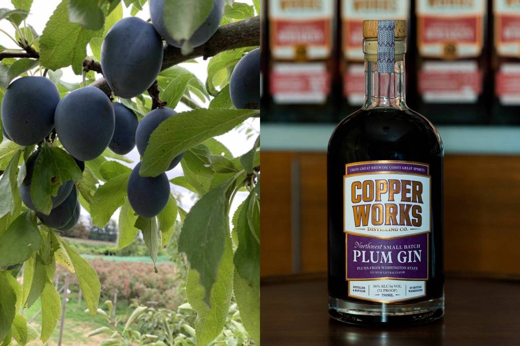 (Left) Close up of plums from Lazy River Farm in Kent, (right) Copperworks Distilling Co.s Plum Gin (Courtesy of Copperworks Distilling Co.)