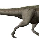 The only dinosaur discovered in Washington state was discovered by paleontologists who found a portion of a left femur of a therapod dinosaur at Sucia Island state park in the San Juan Islands. While scientists are unsure exactly what type of therapod the fossil belongs to, evidence suggests it is a Daspletosaurus. The dinosaur has been nicknamed Suciasaurus rex. This image shows a Daspletosaurus torosus restoration. (Wikipedia)