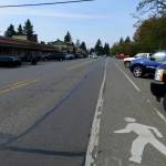 State Route 202 as viewed from Fall City. Photo Courtesy of WSDOT.