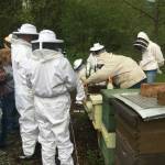 The Snoqualmie Valley Beekeepers Association meets 7 to 9 p.m. every first Tuesday of every month at Meadowbrook Farm Interpretive Center in North Bend.