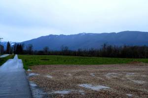 Meadowbrook Farm. Photo by Conor Wilson/Valley Record.