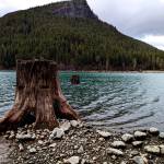 Rattlesnake Lake, near Sallal's Rattlesnake Lake Wellfield. Photo by Conor Wilson/Valley Record.