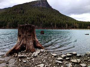 Rattlesnake Lake, near Sallal's Rattlesnake Lake Wellfield. Photo by Conor Wilson/Valley Record.