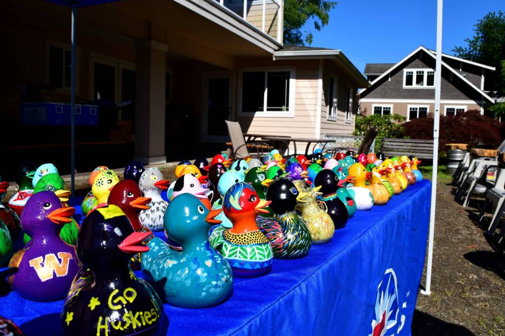 Ducks being used in the Great Duck Hunt.