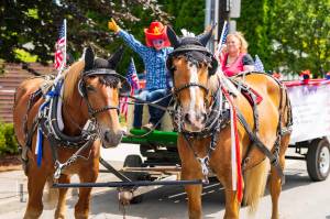 Photo courtesy of Travis Wetherbee.