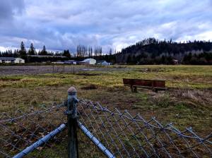 The Schefer Riverfront Property in western Carnation. The property is site of future business park development. Photo by Conor Wilson/Valley Record.