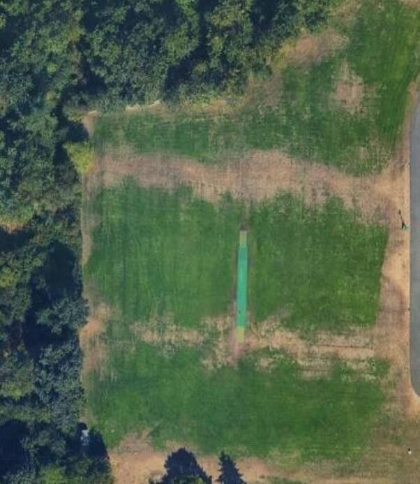 Microsoft CEO announces cricket stadium coming to Seattle area