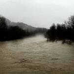 The Snoqualmie River viewed from the State Route 202 bridge in Fall City on Dec. 5. Photo William Shaw/ Valley Record.