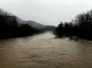 The Snoqualmie River viewed from the State Route 202 bridge in Fall City on Dec. 5. Photo William Shaw/ Valley Record.