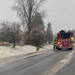 Snoqualmie firefighters respond to snapping trees due to heavy ice. (Photo by William Shaw/Sound Publishing)