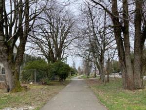 A portion of Tanner Trail east of North Bend City Hall. Photo by Mallory Kruml/Valley Record