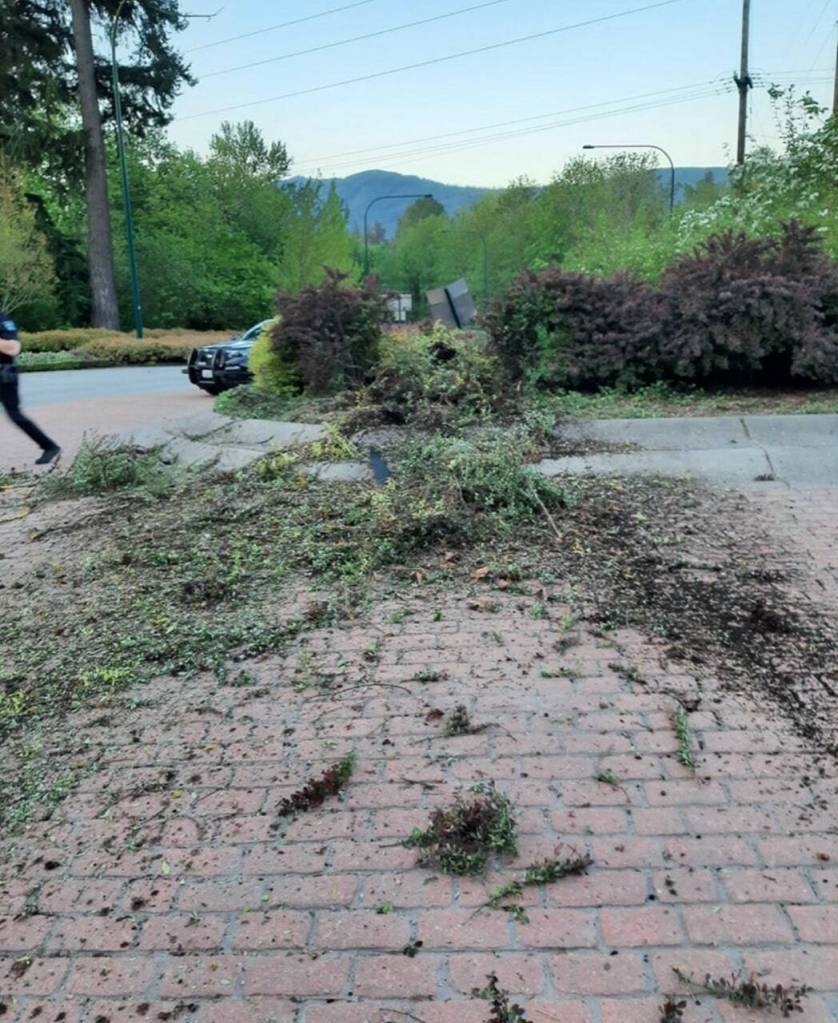 Snoqualmie police responded May 12 to the 4800 block of Southeast Tokul Road where the driver of a Tesla Cybertruck damaged a roundabout by monstertrucking. Police found the vehicle with heavy damage and arrested the driver for DUI and hit and run. Photo courtesy of Snoqualmie Police Department