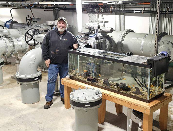 Plant Operator Craig Jess posing with the trout and a few goldfish living in the 125-gallon, effluent tank. Photo courtesy of the city of North Bend