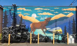 Photo by Mary Miller