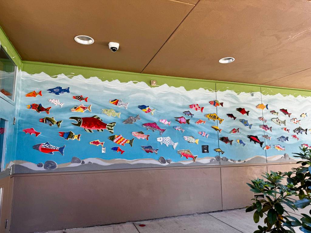 An exterior portion of Carnation Elementarys new salmon mural. Photos by Grace Gorenflo/For the Valley Record