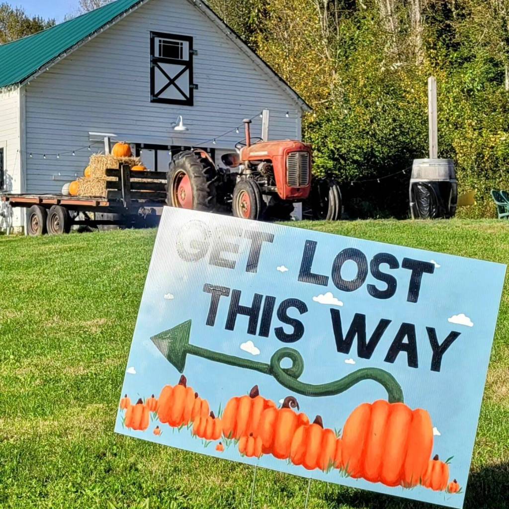 Novelty Hill Farms fall festival is open each weekend through the end of October at 26617 NE 124th St. Duvall. Learn more at noveltyhillfarm.com. Courtesy photo