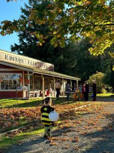 Downtown North Bends Trick or Treat Street event will be back on Oct. 26. (Photo courtesy of North Bend Downtown Foundation)