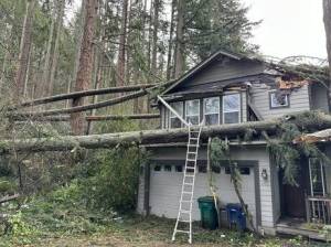 A house in Issaquah was damaged by fallen trees during Novembers bomb cyclone. (Courtesy of King County Councilmember Sarah Perrys office)