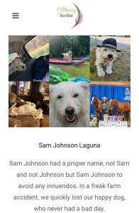 A dog obituary by Nancy Baker. Courtesy image