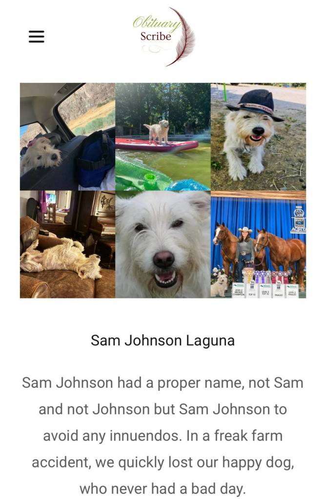 A dog obituary by Nancy Baker. Courtesy image