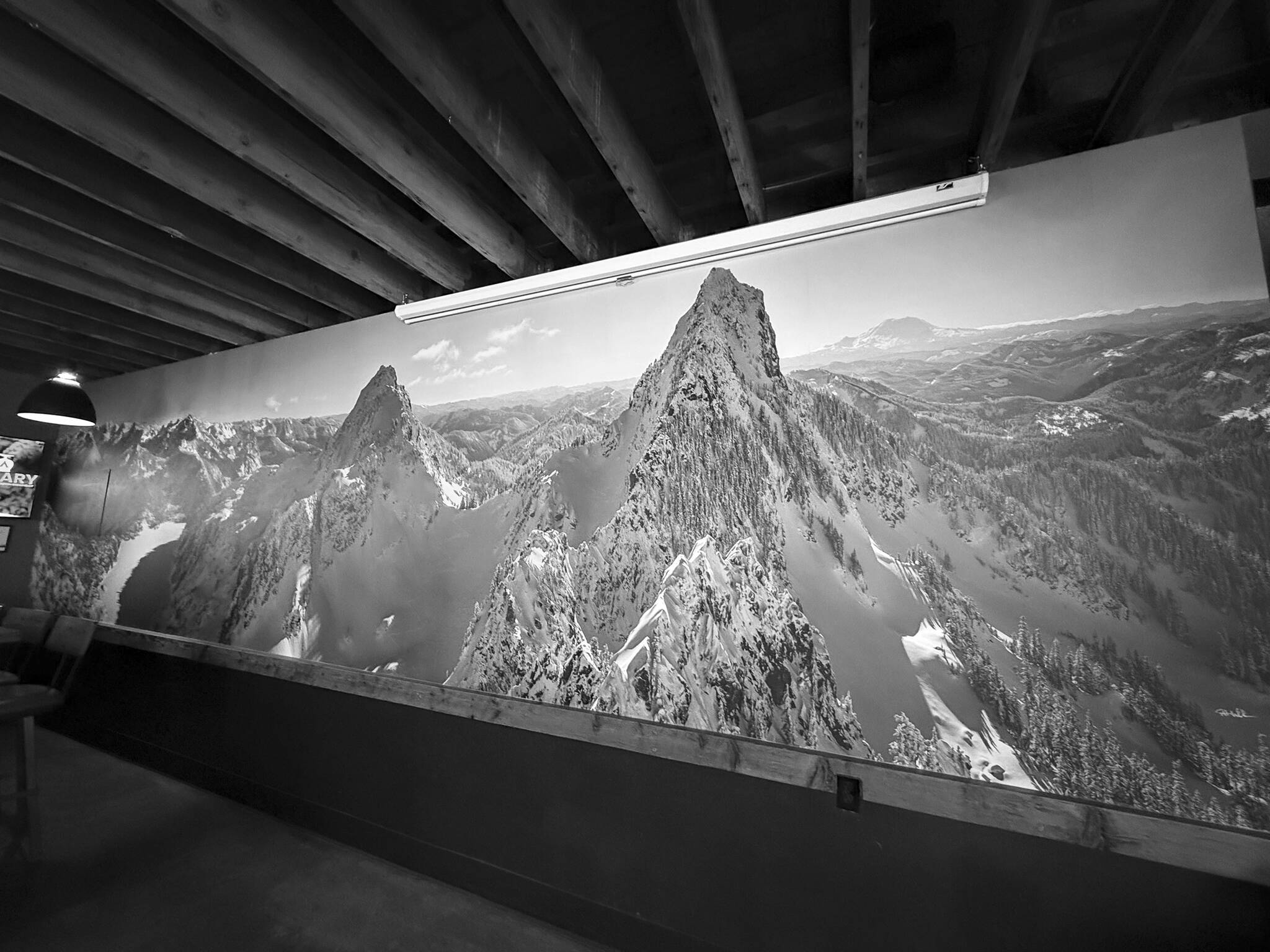 Scott Rinckenbergers photo mural at Volition Brewing Co. Photo courtesy of Jamie Haines