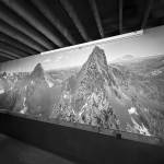 Scott Rinckenbergers photo mural at Volition Brewing Co. Photo courtesy of Jamie Haines