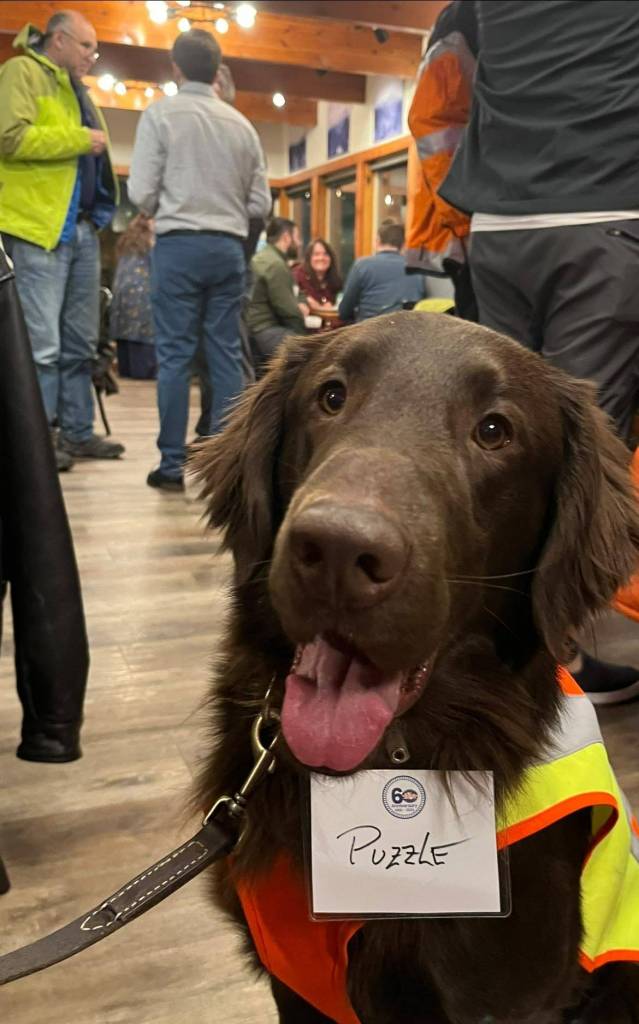 Puzzle the K9. Photo by Ben Klassen