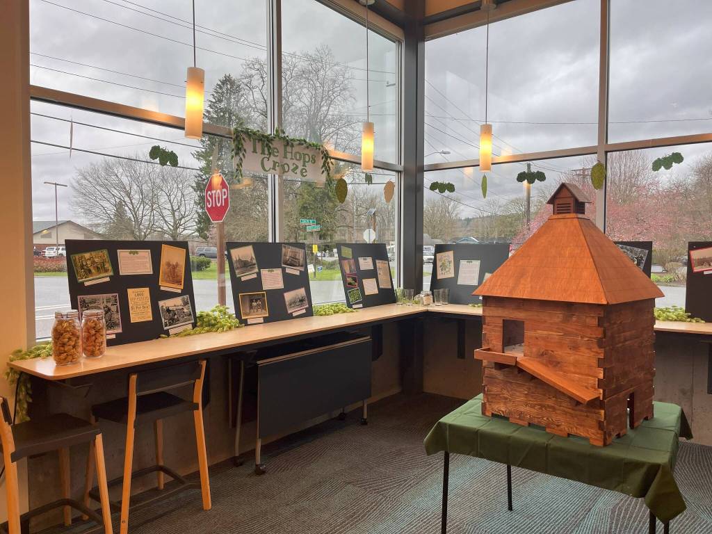 A display about the 1800s Snoqualmie Valley hops craze, complete with a replica of the Fall City hops shed, at the 2025 Fall City Historical Society pop-up museum. Photo courtesy of Cindy Parks