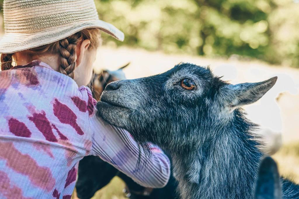Enchanted Farms, 31620 NE 129th St. in Duvall, will run summer camps for kids. Photo courtesy of Dave and Nicole Dempster