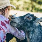 Enchanted Farms, 31620 NE 129th St. in Duvall, will run summer camps for kids. Photo courtesy of Dave and Nicole Dempster