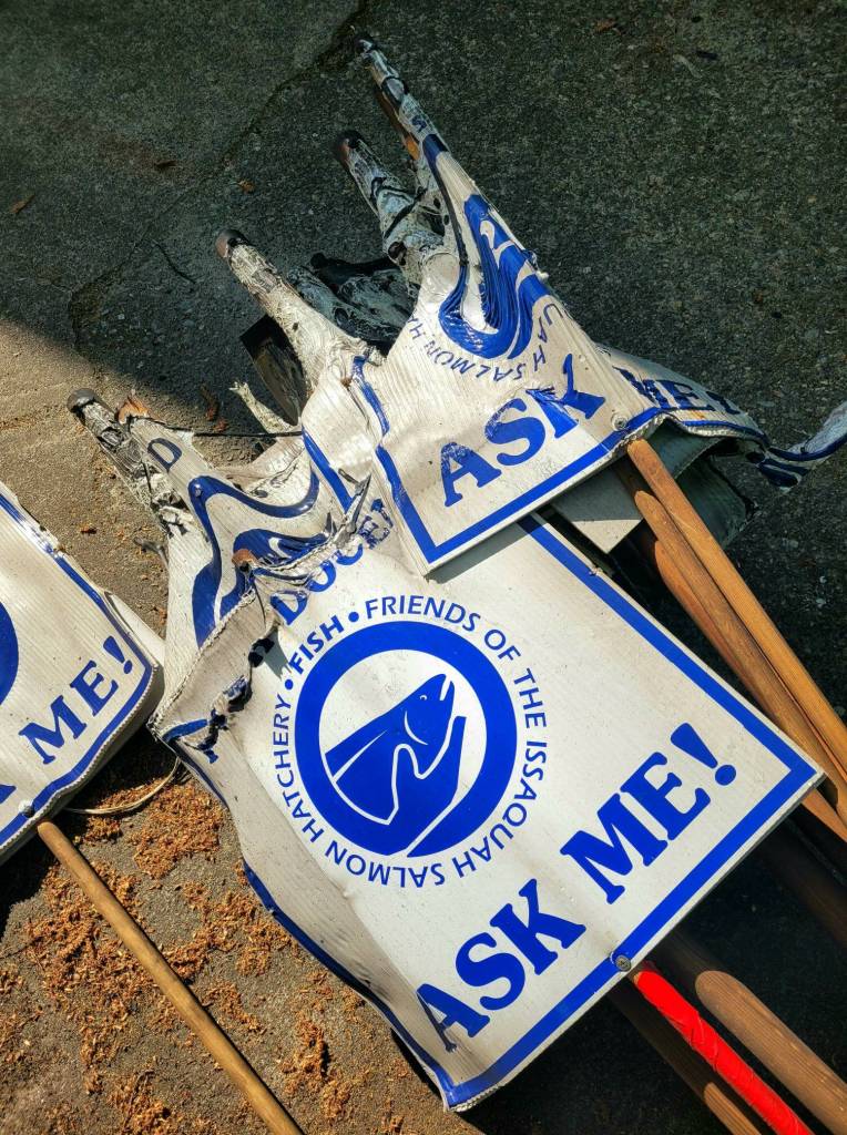 The notable ask me signs that Friends of the Issaquah Salmon Hatchery fish docents carry were melted in the April 22 fire. Photo courtesy of Friends of the Issaquah Salmon Hatchery
