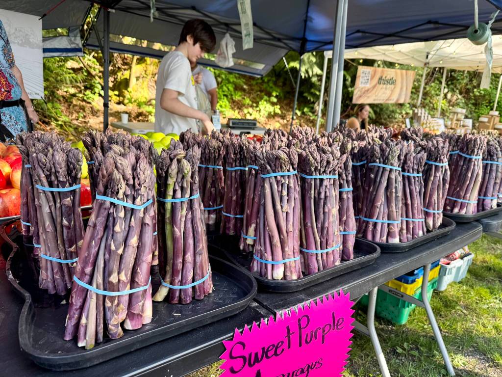 Fresh purple asparagus is for sale at the Duvall Farmers Market, May 1, 2025. (Grace Gorenflo/Valley Record)