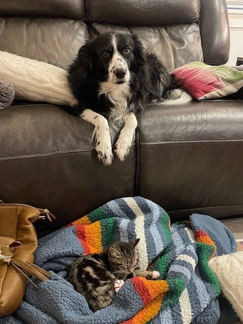 Their family dog, Nellie, succumbed to her injuries from the fire.