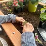 Photo courtesy of Snoqualmie Valley Health