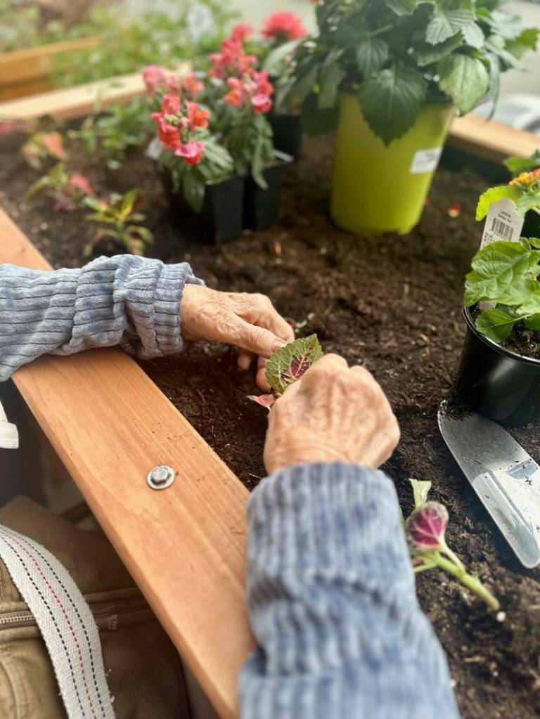 Photo courtesy of Snoqualmie Valley Health