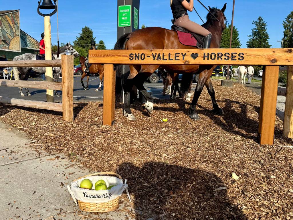 A basket of green apples greets horses at the ribbon cutting of the Carnation Cafe horse hitch post, June 5, 2025. Grace Gorenflo/Valley Record