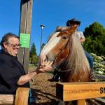 Carnation Cafe owner Don Langhans feeds an apple to Adarria the Clydesdale at the ribbon cutting of the Carnation Cafe horse hitch post, June 5, 2025. Grace Gorenflo/Valley Record