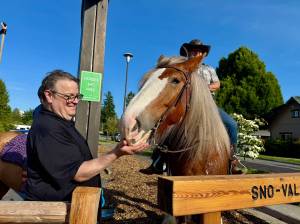 Carnation Cafe owner Don Langhans feeds an apple to Adarria the Clydesdale at the ribbon cutting of the Carnation Cafe horse hitch post, June 5, 2025. (Grace Gorenflo/Valley Record)