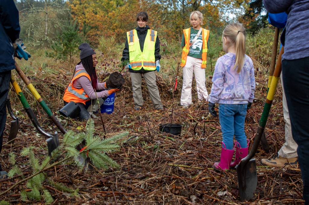 2023 volunteer Annual Tree Planting Celebration at Lake Sammamish State Park hosted by the Mountains to Sound Greenway Trust. Photo courtesy of the Mountains to Sound Greenway Trust