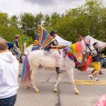 Robyn Atkins rides her horse Duke, dressed as a unicorn, in the 2025 Fall City Day parade. Photo courtesy of SnoValley Pride