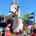 Duke the horse dressed as a unicorn in the 2024 Carnation Fourth of July parade. Photo courtesy of SnoValley Pride