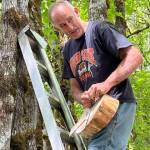 Photo courtesy of Lee Arts Foundation
A volunteer hangs a piece of art for the 2025 Art in Nature trail installation.